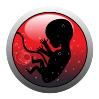 Human embryo (silhouette)