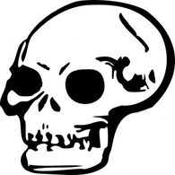 Human - Human Skull clip art 