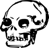 Human - Human Skull clip art 