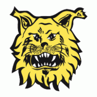 Hockey - Ilves Tampere 