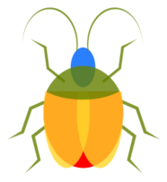 Insect