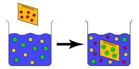 Ion Exchange Capacity Experiment Preview