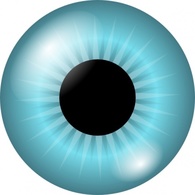 Iris And Pupil clip art