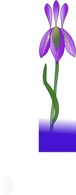 Iris clip art