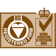 ISO BSI Registered Firm