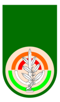 Military - Israel Army Unit 