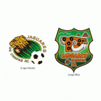 Design - Jaguares de Chiapas 