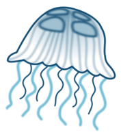Jellyfish Preview