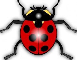 Animals - Jilagan Ladybug clip art 