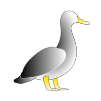 Animals - Jonathon's Duck 