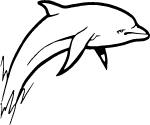 Jumping Dolphin Free Vector 