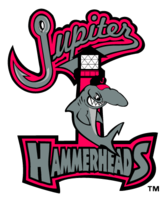 Jupiter Hammerheads