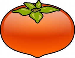 Kaki Persimmons clip art Preview