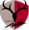 Kashima Antlers Vector Logo 