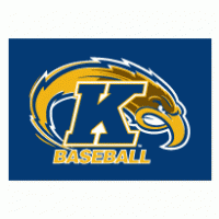 Sports - Kent State University Baseball 