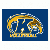 Sports - Kent State University Volleyball 