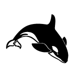 Animals - Killer Whale Vector 