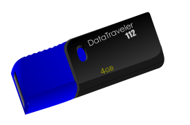 Kingston DataTraveller 112 USB flash drive Preview