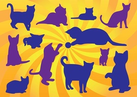 Kitten Vectors