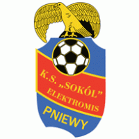 KS Sokol Pniewy Preview