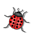 Lady Bug Preview