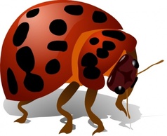 Human - Lady Bug clip art 