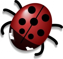 Ladybug clip art 