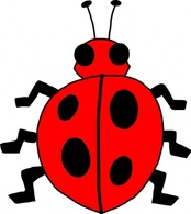 Human - Ladybug Lady Bug clip art 