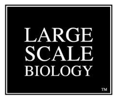 Large Scale Biology