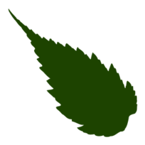 Leaf 05