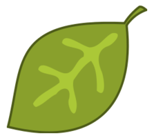 Cartoon - Leaf 