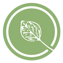 Leaf Logo