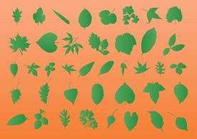 Elements - Leaf Vector Silhouettes 