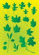 Nature - Leafs Vector Graphics 