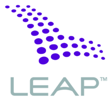 Leap Wireless 