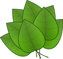 Flowers & Trees - Leaves clip art 