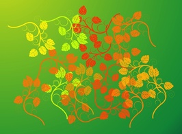 Nature - Leaves Vector 