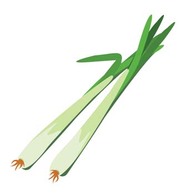 Leeks 2