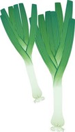 Leeks 5 