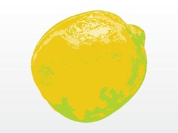 Food - Lemon Illustration 