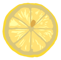 Lemon slice