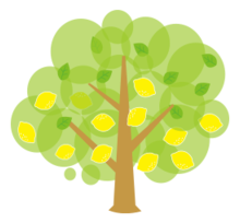 Lemon Tree