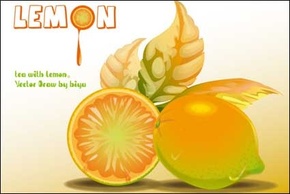 Food - Lemon Vector 