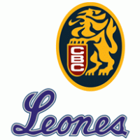 Leones del Caracas Preview