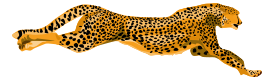 Leopard Cheetah Preview