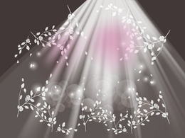 Backgrounds - Lights And Flowers 