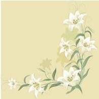 Flowers & Trees - Lili Flower vector 10 