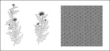 Backgrounds - Line drawing of flowers -10 