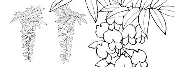 Line drawing of flowers -12