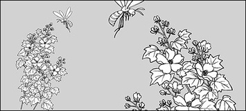 Line drawing of flowers -15